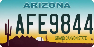 AZ license plate AFE9844