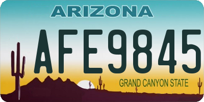 AZ license plate AFE9845