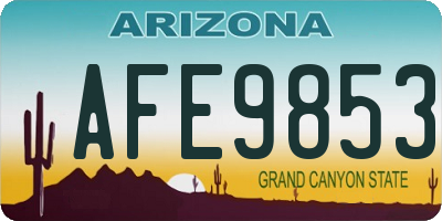 AZ license plate AFE9853