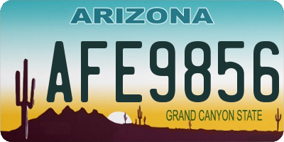 AZ license plate AFE9856