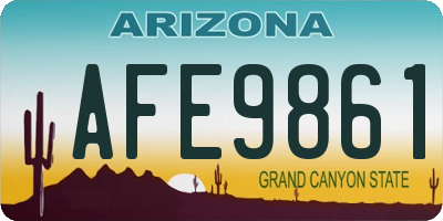 AZ license plate AFE9861