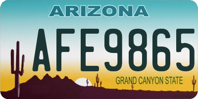 AZ license plate AFE9865