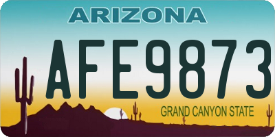 AZ license plate AFE9873