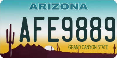 AZ license plate AFE9889