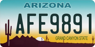 AZ license plate AFE9891