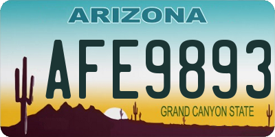 AZ license plate AFE9893