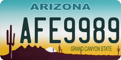 AZ license plate AFE9989