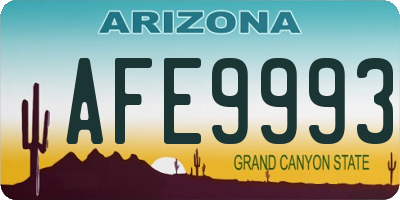 AZ license plate AFE9993