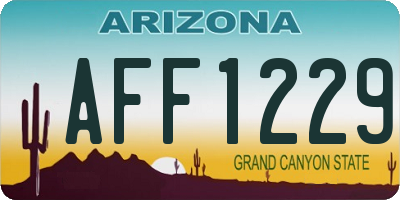AZ license plate AFF1229