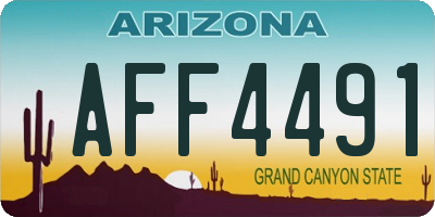 AZ license plate AFF4491