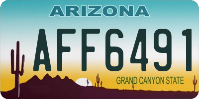 AZ license plate AFF6491