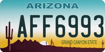 AZ license plate AFF6993
