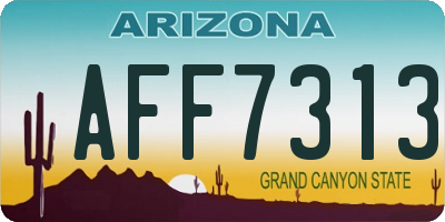 AZ license plate AFF7313
