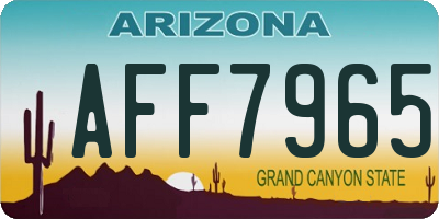 AZ license plate AFF7965