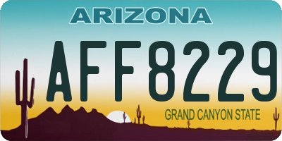AZ license plate AFF8229
