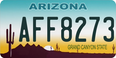 AZ license plate AFF8273