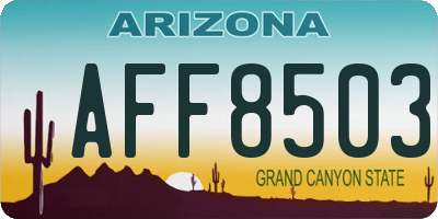 AZ license plate AFF8503