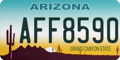 AZ license plate AFF8590