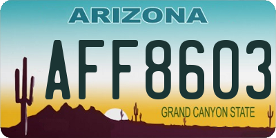 AZ license plate AFF8603