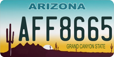 AZ license plate AFF8665