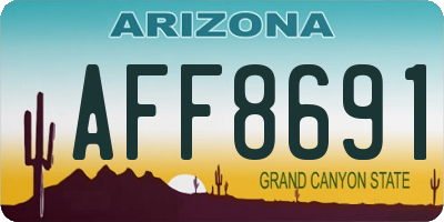 AZ license plate AFF8691