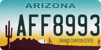 AZ license plate AFF8993