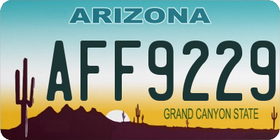 AZ license plate AFF9229