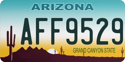 AZ license plate AFF9529