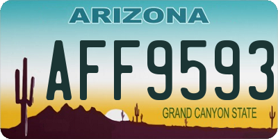 AZ license plate AFF9593