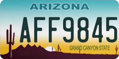 AZ license plate AFF9845
