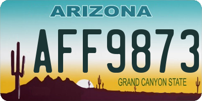 AZ license plate AFF9873