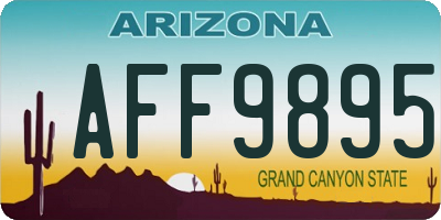 AZ license plate AFF9895