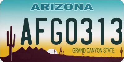 AZ license plate AFG0313