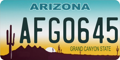 AZ license plate AFG0645