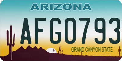 AZ license plate AFG0793