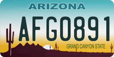 AZ license plate AFG0891