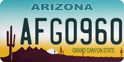 AZ license plate AFG0960