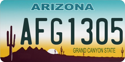 AZ license plate AFG1305