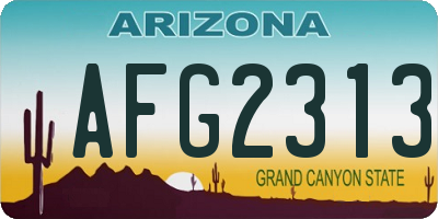 AZ license plate AFG2313