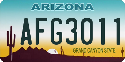 AZ license plate AFG3011