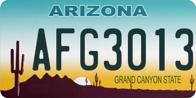 AZ license plate AFG3013