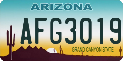 AZ license plate AFG3019