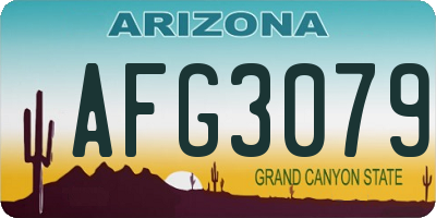 AZ license plate AFG3079