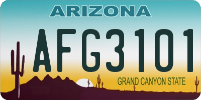 AZ license plate AFG3101