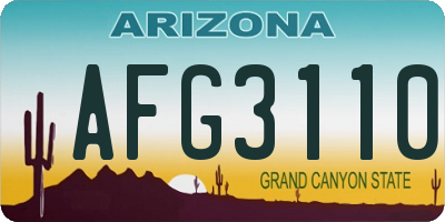 AZ license plate AFG3110