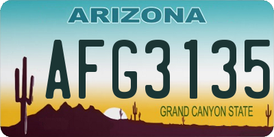 AZ license plate AFG3135