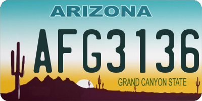 AZ license plate AFG3136