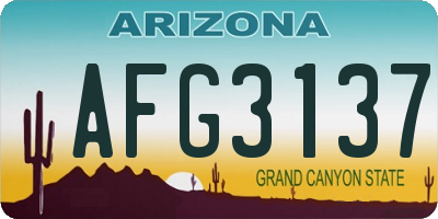 AZ license plate AFG3137