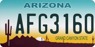 AZ license plate AFG3160