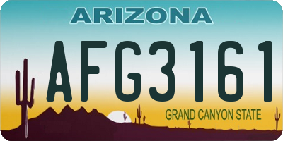 AZ license plate AFG3161